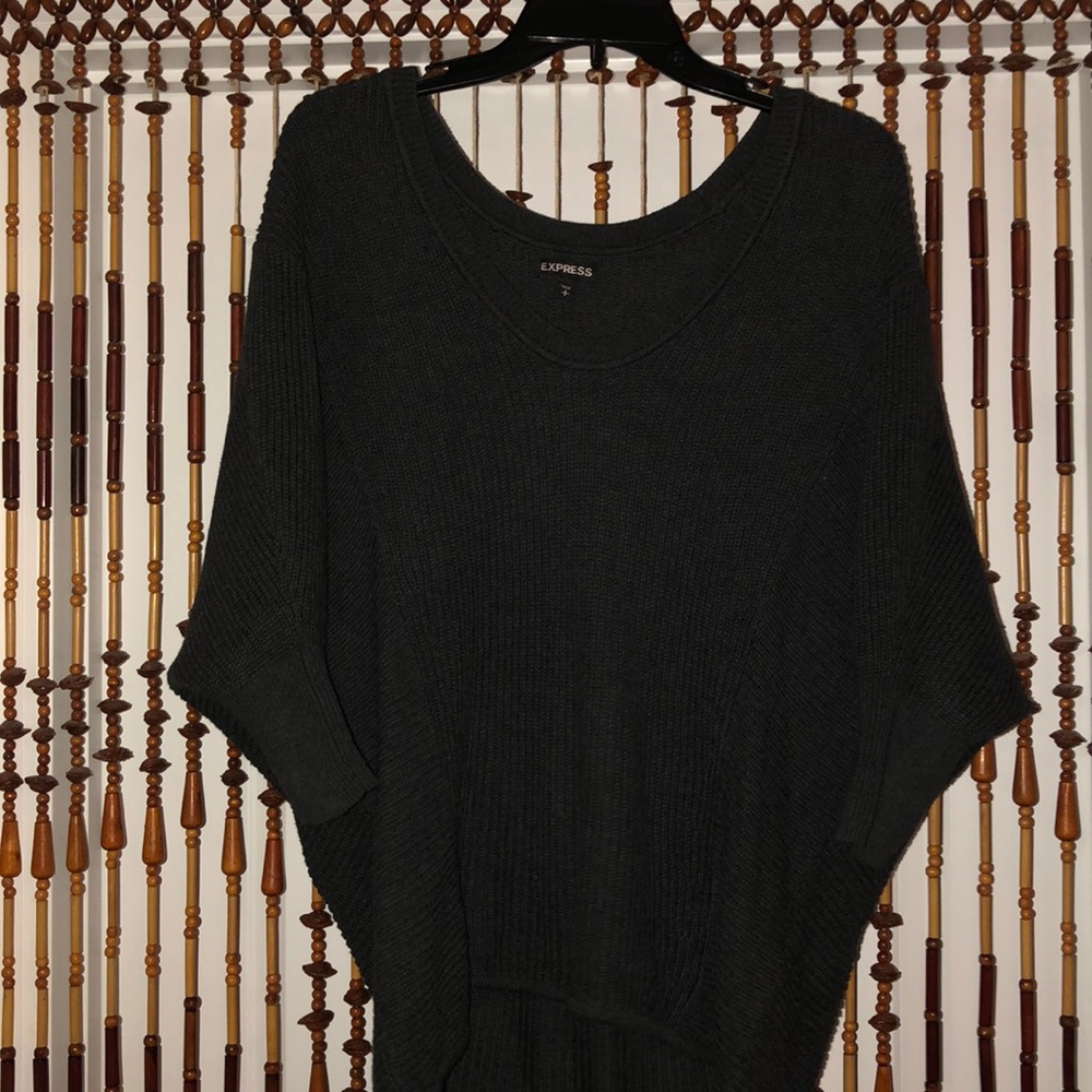 EXPRESS sweater